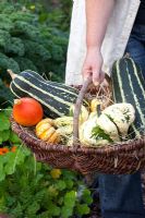 Woman holding basket of freshly picked Marrows, Pumpkins and Squashes
