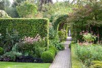 Clipped Fagus sylvatica hedges and archways - Huys en Hof
