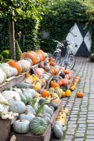 Display of pumpkins and squashes for sale - Huys en hof