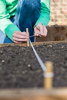 Sowing oriental salad mix directly into raised vegetable bed - Marking with string line