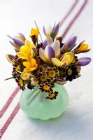 Spring flower arrangement in green vase with Crocus chrysanthus 'Advance', 'Gypsy Girl', 'Zwanenberg Bronze' and Primula 'Gold Lace Group'