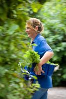 Gardener carrying basket of herbs through garden at Ballymaloe Cookery school