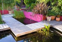 Weathered oak boardwalk around pool with pink rendered wall, Phormium and pleached Pyrus - Pear trees