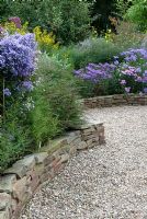 Dry stone walling forming raised borders for Asters and shrubs, with Apple tree in background - The Picton Garden, Colwall, Worcestershire