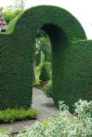 Hedge and arch of clipped leylandii - The Garden at The Bannut, Bringsty, Herefordshire