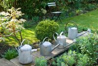 Row of galvanised watering cans in garden