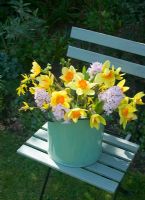 Cut spring flowers - Narcissi, hyacinths and forsythia
