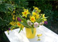 Cut spring flowers - narcissi hyacinths tulips and forsythia