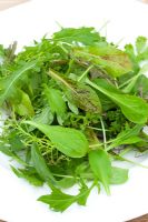 Winter baby leaf salad leaves on a plate including Mustard, Mizuna, Cress, Lettuce