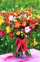 Hand tied bunch of freesias