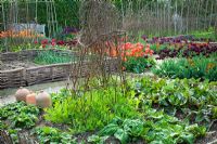 The vegetable garden at Perch Hill in spring. Tulips and salad beds. Woven birch tripods used to support newly planted sweet peas. Hazel hurdles used to edge raised beds