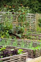 Beds of chard and salsify backed by sunflowers in the vegetable garden at Perch Hill in autumn