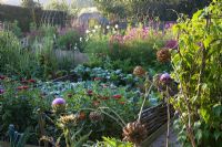 Early morning in the vegetable garden at Perch hill in autumn with artichokes in the foreground