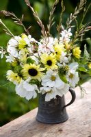 Cut flowers in a pewter jug. Gaura 'The Bride', Cosmos 'Purity', Helianthus 'Vanilla Ice'