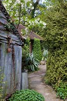 Pathway leading to the house past rustic old barn with rusty found objects. Astelia chathamica in pots by house. 