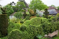 Yew Topiary birds, wedding-cake tiers and crowns, and wavy Buxus hedges frame the house. 