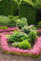 The Physic Garden features herb beds edged with London Pride, Saxifraga 'Clarence Elliot' - Herterton House, Hartington, Northumberland, UK