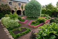 The Physic Garden features herb beds edged with London Pride, Saxifraga 'Clarence Elliot', and a clipped Pyrus salicifolia, weeping silver pear - Herterton House, Hartington, Northumberland, UK