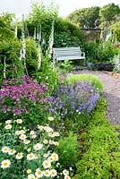 Border planted with Astrantia maxima, Nepeta, and white foxgloves with bench nearby - Mindrum, nr Cornhill on Tweed, Northumberland, UK