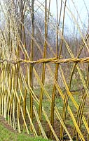Willow withy fence