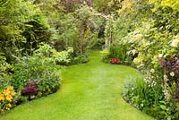 Tapered lawn leading to a wooden rose arch, mature herbaceous borders backed by trees in a suburban garden 