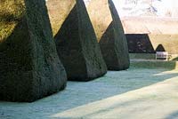 Giant topiary pyramids in The Great Court