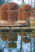 Beech topiary in winter reflected in contemporary pond - Broughton Grange, Oxfordshire