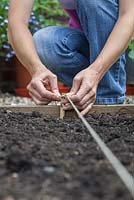 Step-by-step - Planting spring greens from seed in a raised vegetable bed
