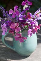 Flower arrangement with Erysimum - perennial Wallflower and Linaria - Toadflax 