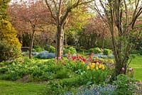 Spring garden with exceptional tree trunk and Myosotis, Prunus - Silene dioica, Sorbus aucuparia and Tulipa