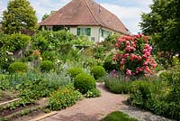 House and garden with box spheres, roses and a mixture of flowers and vegetables,'Rosarium Uetersen' - Buxus, Calendula officinalis, Lavandula angustifolia, Nigella damascena, Vitis