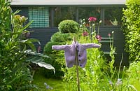 Garden view with vegetable beds, purple shed, topiary box and scarecrow
