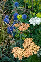 Eryngium, Achilleas and grasses - 'The Landform Garden' - Gold medal winner and Best Summer Garden - RHS Hampton Court Flower Show 2012 