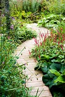 Decking path through border to pond - Brook Hall Cottages, Essex NGS