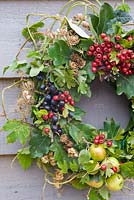 Autumn wreath made from foraged natural materials - wild berries and foliage inc Malus sylvestris - Crabapples, Crataegus monogyna - Hawthorn, Rubus fruticosus - Blackberries and Prunus spinosa - Sloes or Blackthorns

