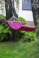 Pink hammock hanging between Betula - Birch trees