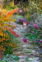 Autumn border and pathway with hoar frost