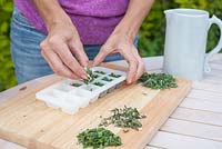 Step by step - making herb ice cubes