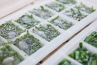 Step by step - Making herb filled ice cubes