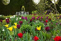 Spring Tulips, Sundial Garden, Highgrove, April 2010. Originally designed by Lady Salisbury as a Rose Garden