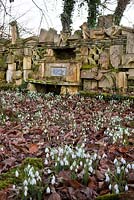 Snowdrops and the 'Wall of Gifts', The Stumpery, Highgrove Garden, February 2011. 
