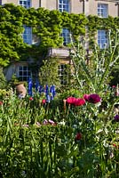 The Sundial Garden and Highgrove House with poppies, Papaver somniferum, June 2011.