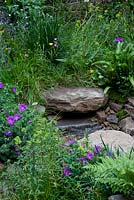 Naturally Dry - Stream emerges from under stepping stone. Plants include geraniums, yellow Lamium, fern Asplenium scolopendrium,  clover and grasses, sponsored by Veolia Water - RHS Chelsea Flower Show 2012. Silver Flora medal winner