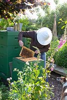 Garden owner Margaret with her bees 