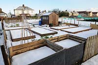 Winter allotments showing snow covered raised beds with compost bins in foreground, Norfolk, December