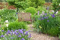 Wooden bench surrounded by Iris sibirica 'Ever Again'