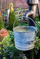 Decorative water pump and bucket in spring vegetable garden
