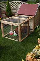 Keeping chickens in a small garden