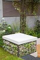 Stool planted with thyme, Thymus