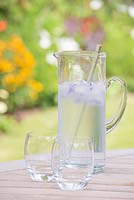 Step by step for creating decorative ice cubes using borage flowers - Jug of iced water and glasses on garden table 